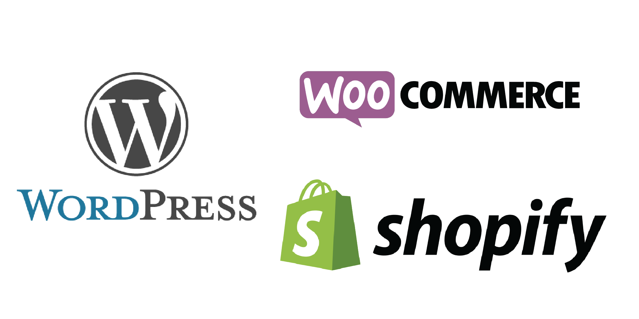 Custom Website vs WordPress, Which One is Better?